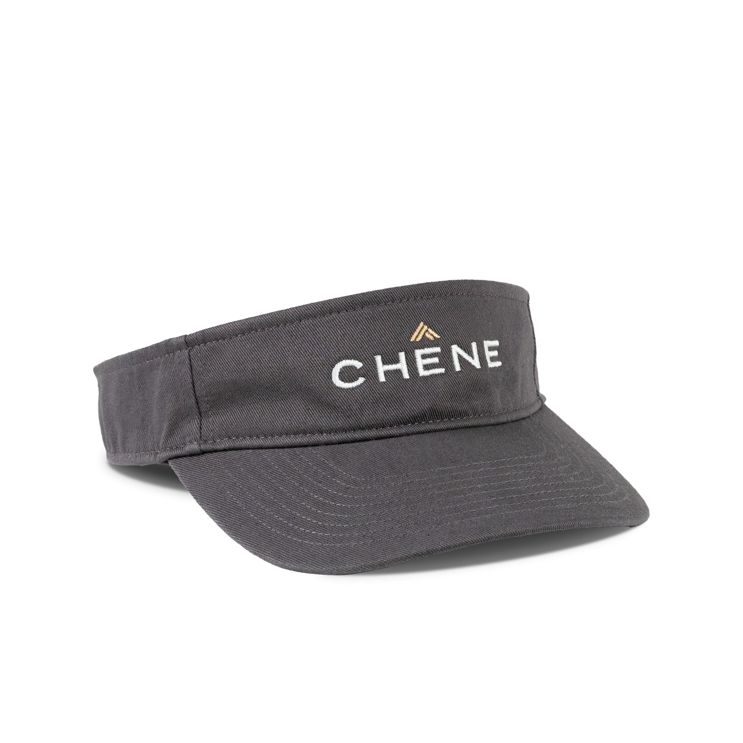 Logo Visor