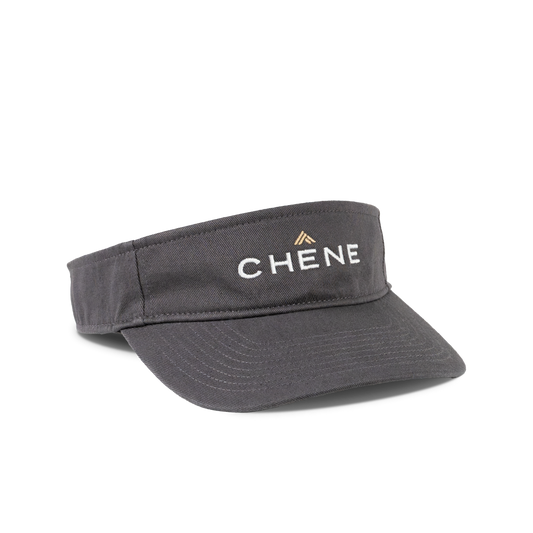 Logo Visor